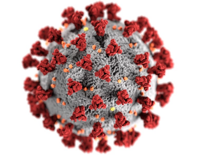 COVID 19 cell