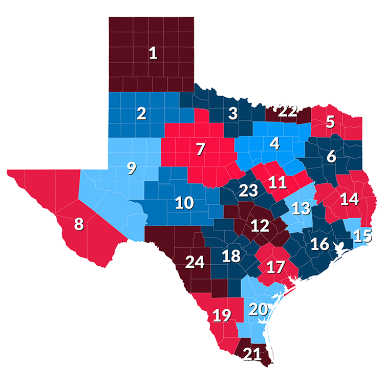 texas shape with cog regions outlined