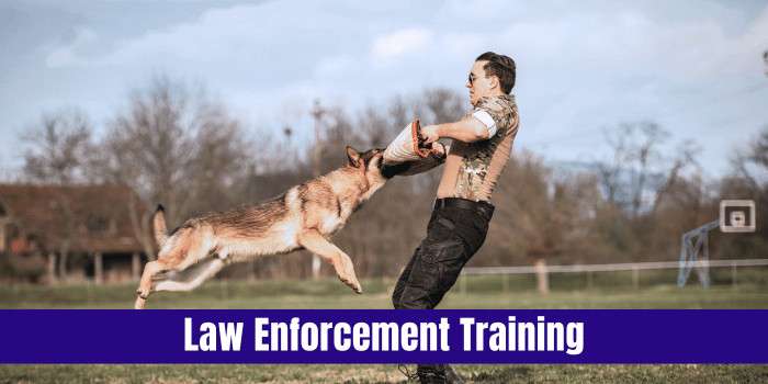 Click to register for canine encounters