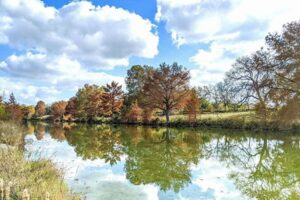A river in Blanco, Texas.