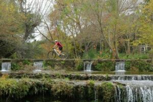 Four bicycle riders ride down a path near a river.